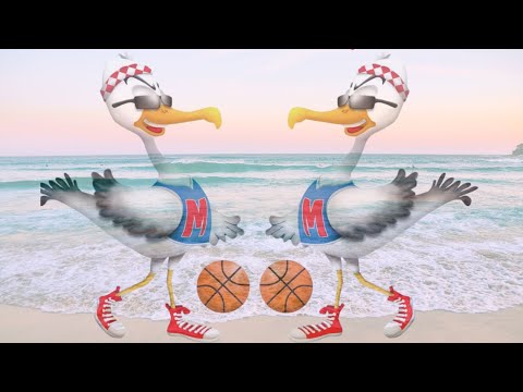 Finale : KK Vindija vs. OKK Sloboda