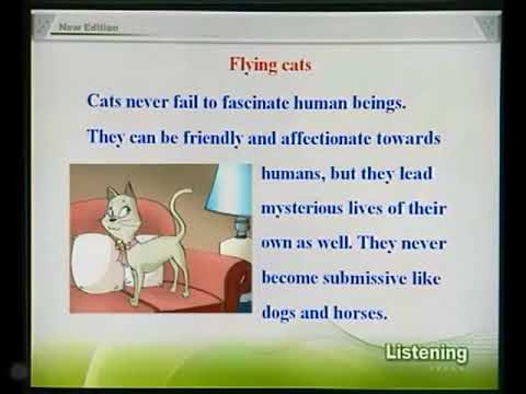 09-3 new concept english Lesson 9 Flying cats 飞猫