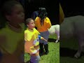 Pony Ride