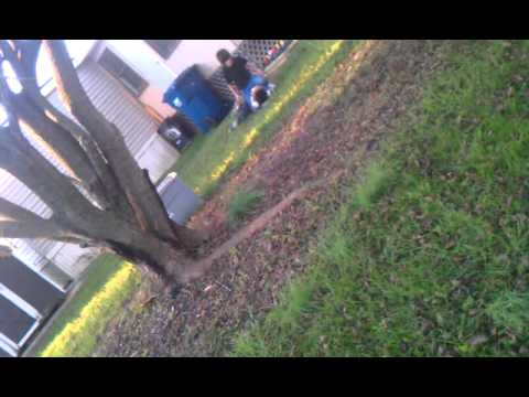 Little kids scrappin