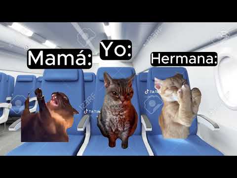 Recopilación La familia gato va a Europa