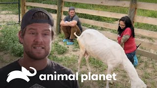 Thumbnail del capítulo