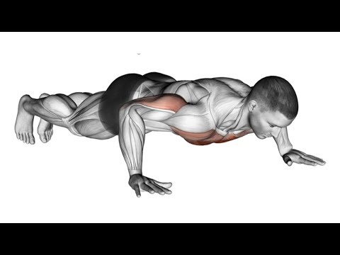 download lagu mp3 mp4 40 Pushups, download lagu 40 Pushups gratis, unduh video klip 40 Pushups