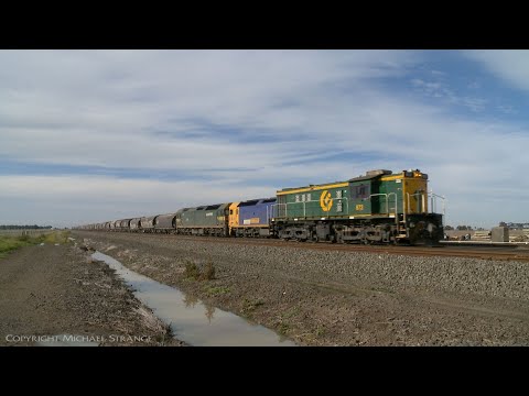 QUBE 872 Light Engine Overtakes Grain Train - PoathTV Australian Railways