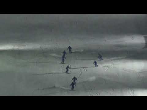 Australia's Demonstration Runs at Interski Bulgaria 2019