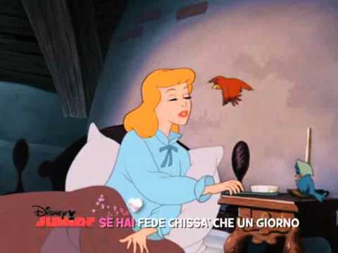 Canta con le Principesse -  Cenerentola - I Sogni son Desideri