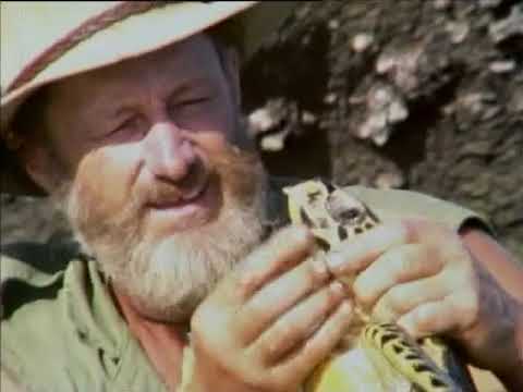 Malcolm Douglas - Australia - Journey To Bigge Island  (1988)