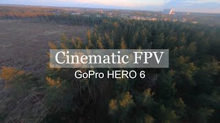 Cinematic FPV drone GoPro Hero 6 Black