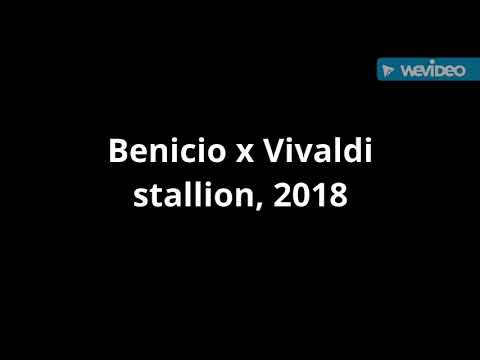 Benicio x Vivaldi