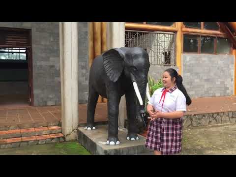 Cuộc thi Em là hướng dẫn viên khu di tích - Lớp 7/1 THCS Hàng Gòn