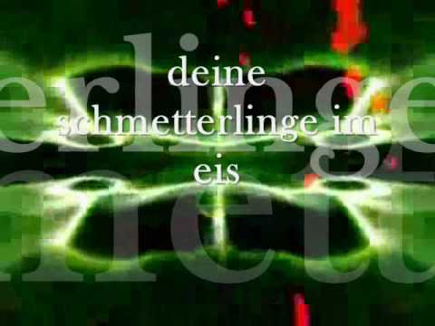 Video thumbnail for Schmetterlinge im Eis
