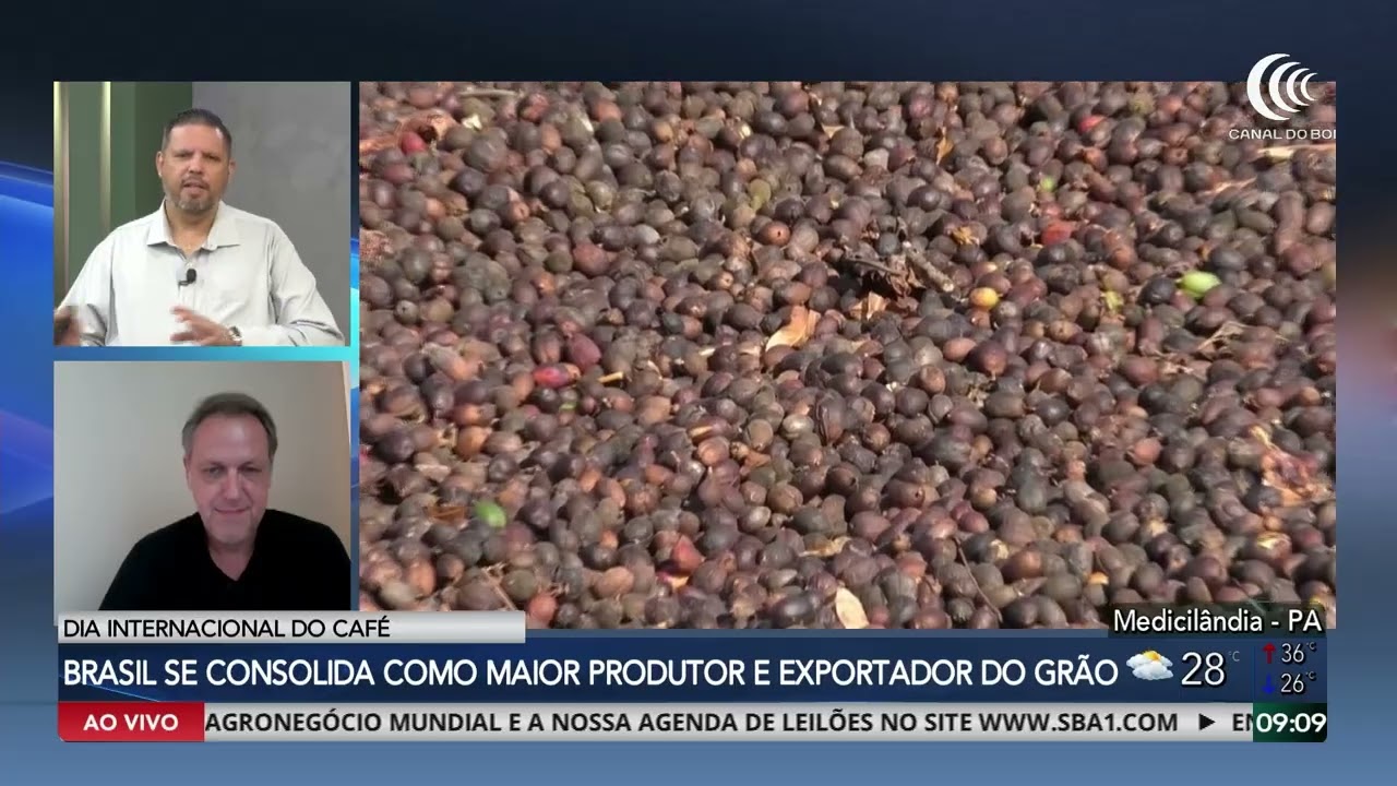Dia Internacional do Café: Brasil se consolida como maior produtor e exportador