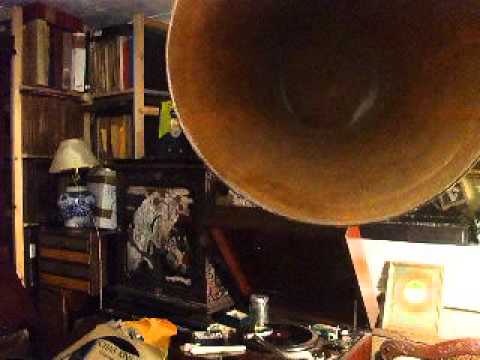 "Who" From "Sunny" Played by the Raymond Dance Band Regal G 8692