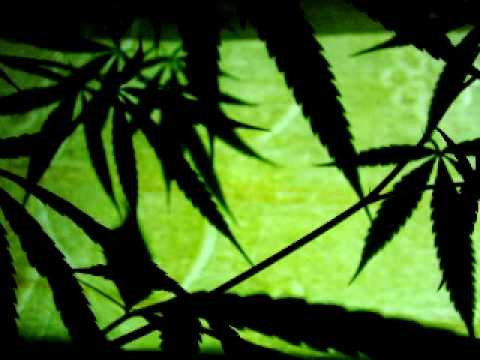 Deep Josh & Franco De Mulero feat