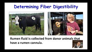 Measuring forage quality: sampling and interpretation - Chris Teutsch