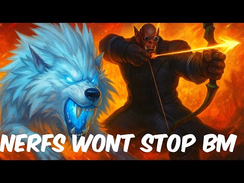 NERF WONT STOP BM HUNTER! - Beast mastery hunter pvp 11.2