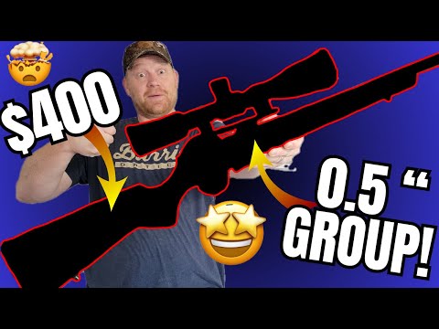 Gun Snobs HATE this Rifle!!! [With Full Ammo Test] Savage 334 .30-06 Ammo Test