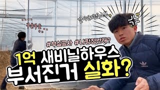 새로 지은 비닐하우스 이건 좀...  이중 비닐 하우스 시공 유의할점[농사왕 재배맨]