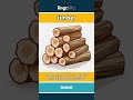 timber (noun) - definition and usage in English