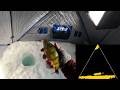Video Thumbnail for Crushing the Perch! | A Buffalo Pound Experience | Eagle Eye 9" Footage