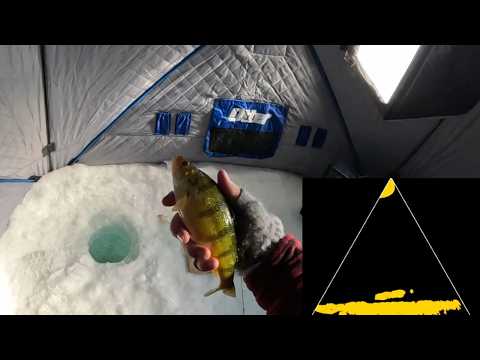Crushing the Perch! | A Buffalo Pound Experience | Eagle Eye 9" Footage