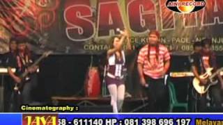 Download lagu KOPLO SAGITA - TAK TUNGGU BALIMU.flv mp3
