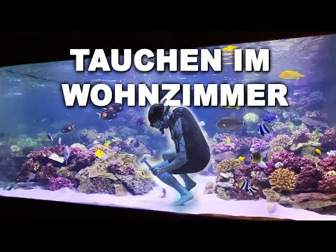 37.000 liters- DIVING IN THE LIVING ROOM + saltwater aquarium SPECIAL CARE *english subtitles*