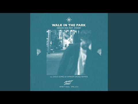 Walk In The Park (Doug Gomez Remix)