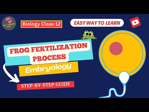 Embryology: Frog Fertilization Explained|Bio_Science Guide