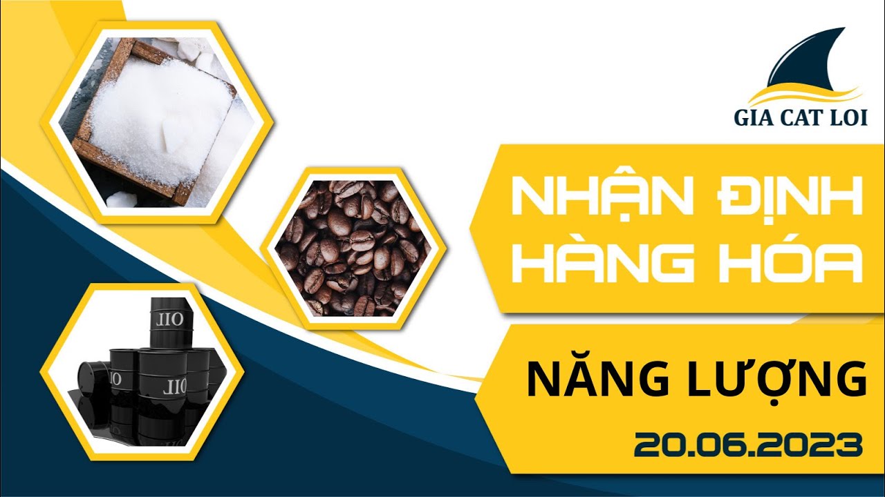 Nhận Định Thị Trường Năng Lượng Ngày 20/06/2023