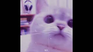 Download lagu [Vietsub   lyric] Bukanpho - DJ DESA (remix) | Music TikTok mp3