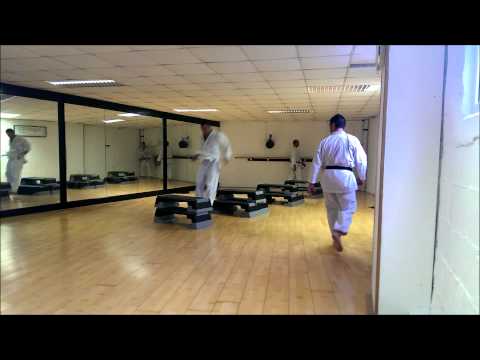 Plyometric exercises and kata jumps