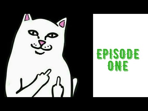 Saturday with Sujay | Episode 01 | Cats