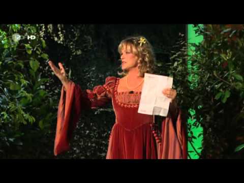 Die Anstalt    Aufstieg der Mittelschicht