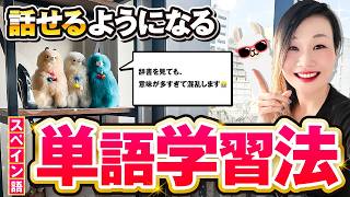 「スペイン語辞書に載ってる意味が多すぎて覚えられない」を解決！
