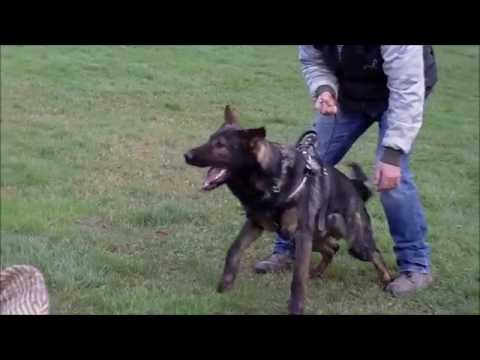 Iron z Vodňanské doliny