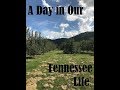 A Day In Our Tennessee Life Carver S Apple Orchard