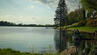 Two nights B&B package | The Manor House Hotel | Art of now 🎣🐦‍⬛🌳