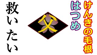 はつめを救いたい。ついでにけんきの毛根も