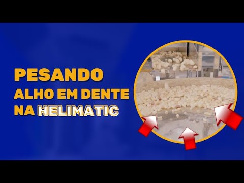 Pesadora para dentes de alho - Empresa Bom Gosto