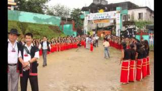 Flaming Lips - Silver Trembling Hands