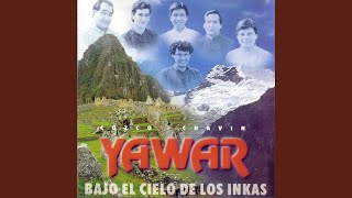 Cover art for Virgenes del Sol