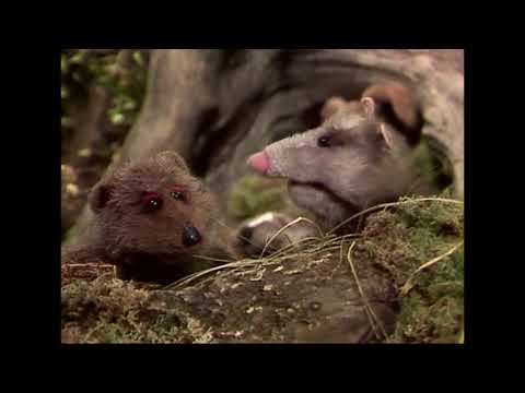 Muppet Songs: For What It's Worth