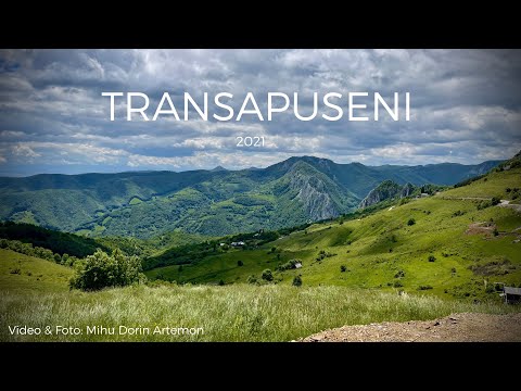 🌲 TRANSAPUSENI - 2021