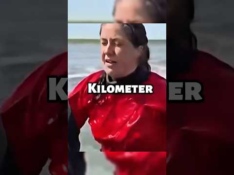 Jetzt steht fest was aus Wal Timmy in Dänemark wird