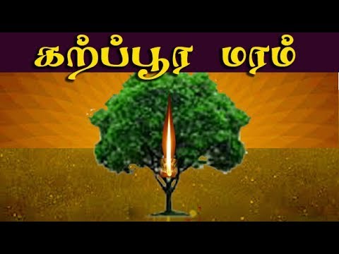 download lagu mp3 mp4 Karpoora Maram, download mp3 Karpoora Maram free download, download mp3 Karpoora Maram