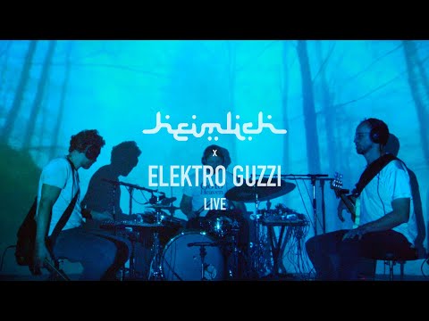 Elektro Guzzi Live - Heimlich Musik