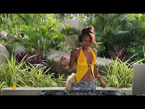 Afro Jungle Vibes 🌴 | Amapiano & Afrobeats Mix for a Good Mood