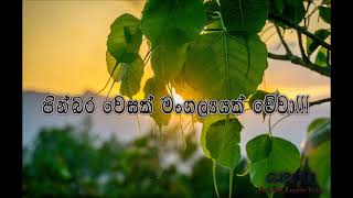 Vesak wishes for whatsapp status  vesak whatsapp s