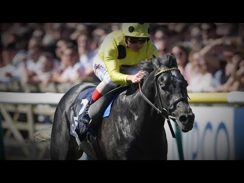 2018 Dunaden Jockey Club Stakes G2 - Defoe (定富) - A.Atzeni